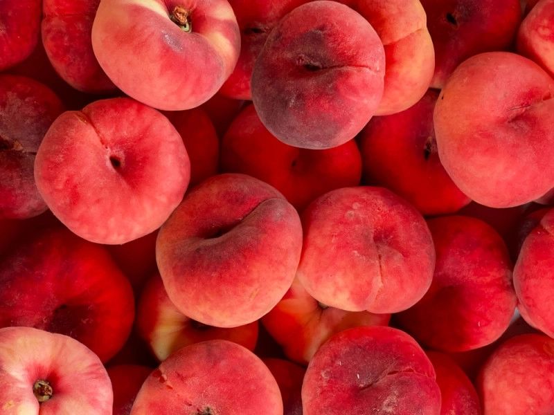 Sorbet Artisanal : Pourquoi 60-65 % de Fruit Change Tout